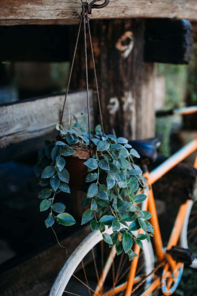metal hanging baskets